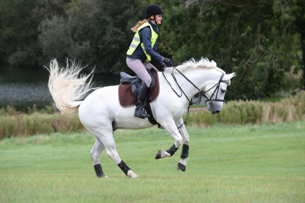 An excitable horse requires a diet with slow-release energy fed at the correct levels to suit the amount of work they are doing