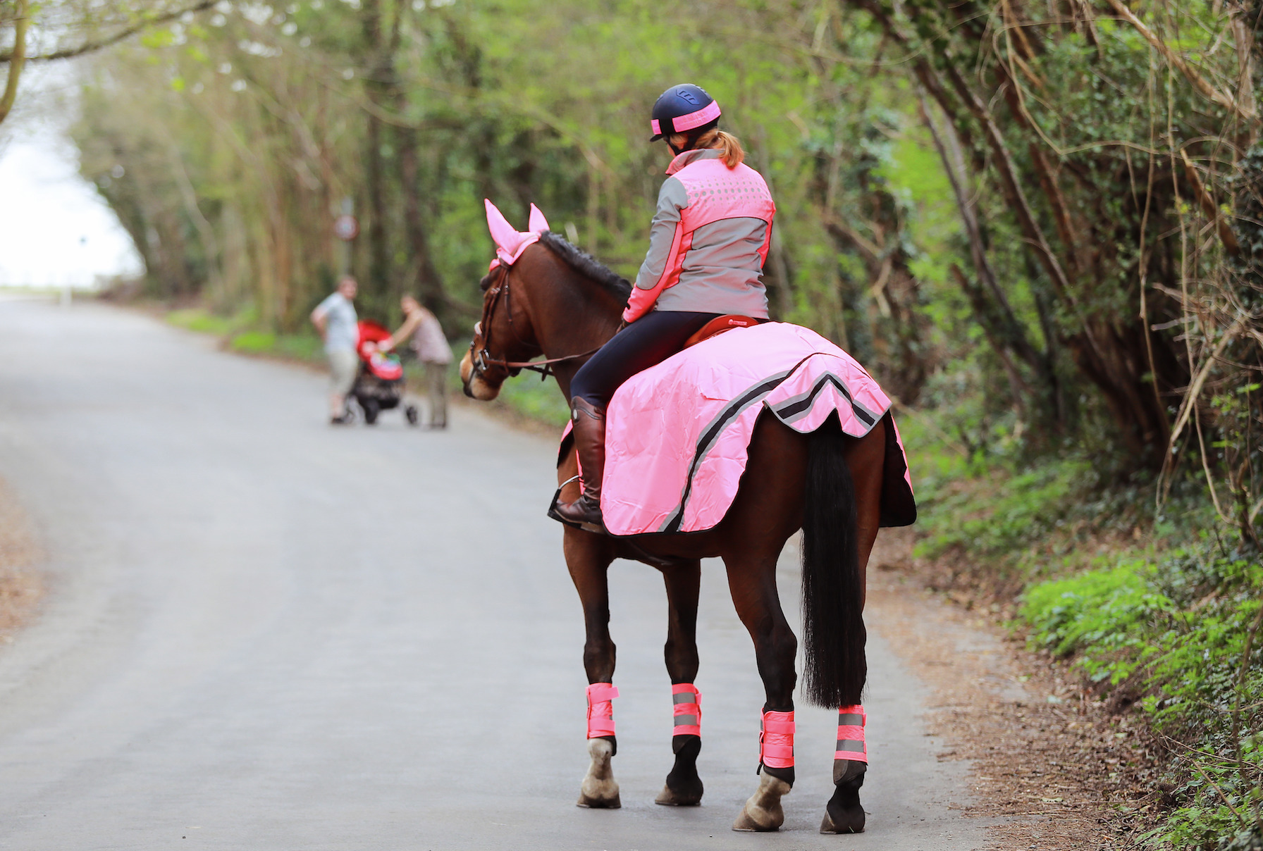 Jason Webb's 10 tips for dealing with a spooky horse out hacking - Your ...