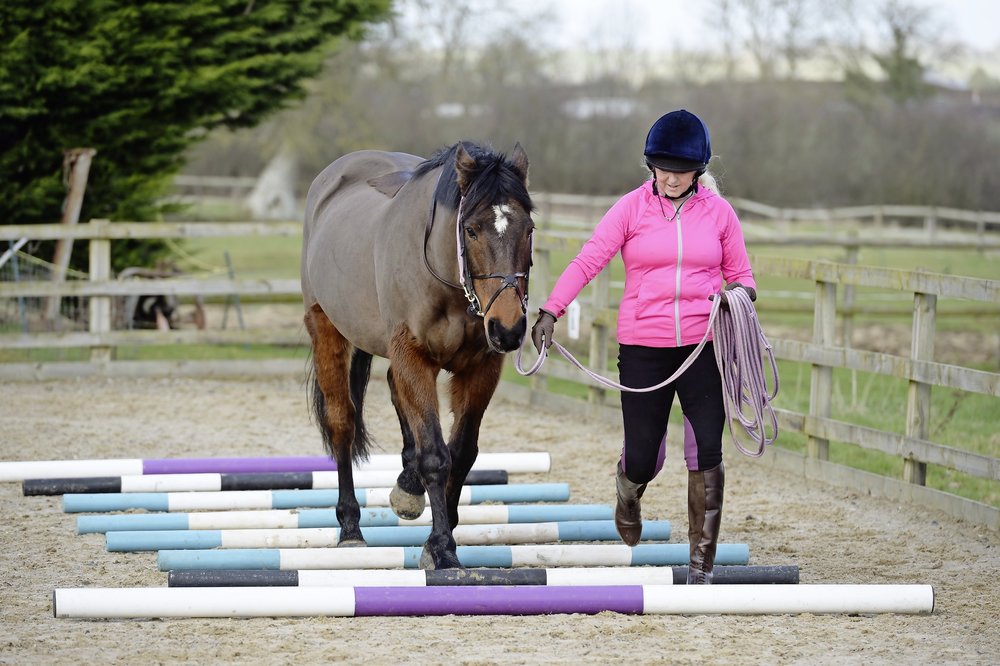 Two inhand exercises to improve your horse’s core strength Your Horse