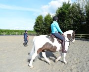 No stirrups November: riding without stirrups does wonders for rider position and security in the saddle