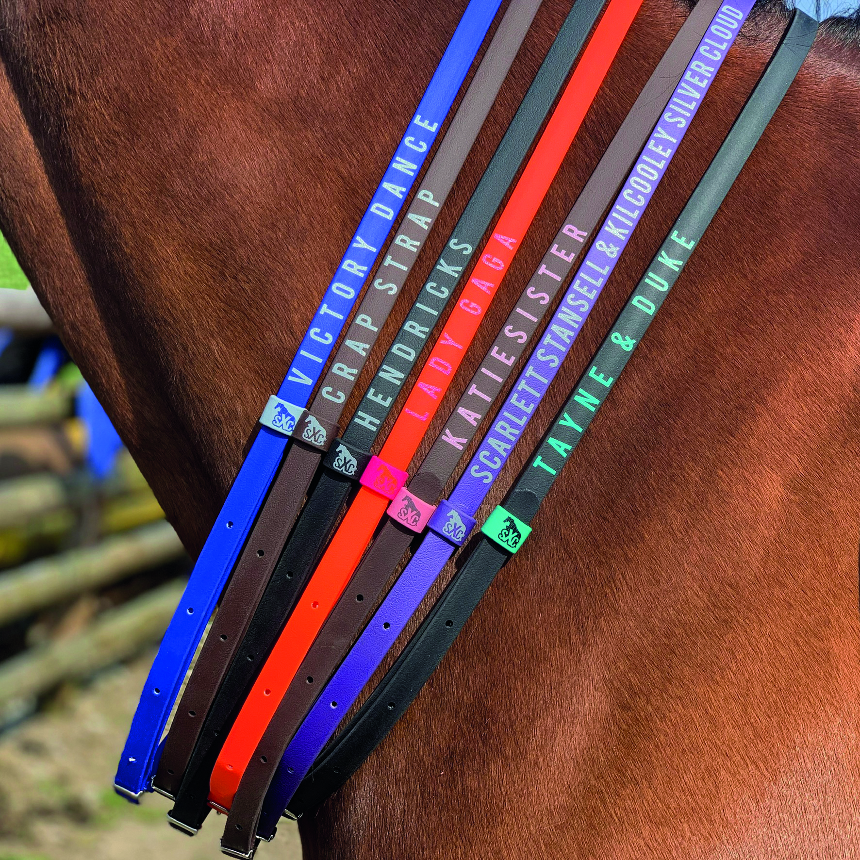 Neck Strap Short Connectors - Salute Equestrian Ltd