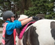 Pictured is a rider putting a saddle on to a coloured cob