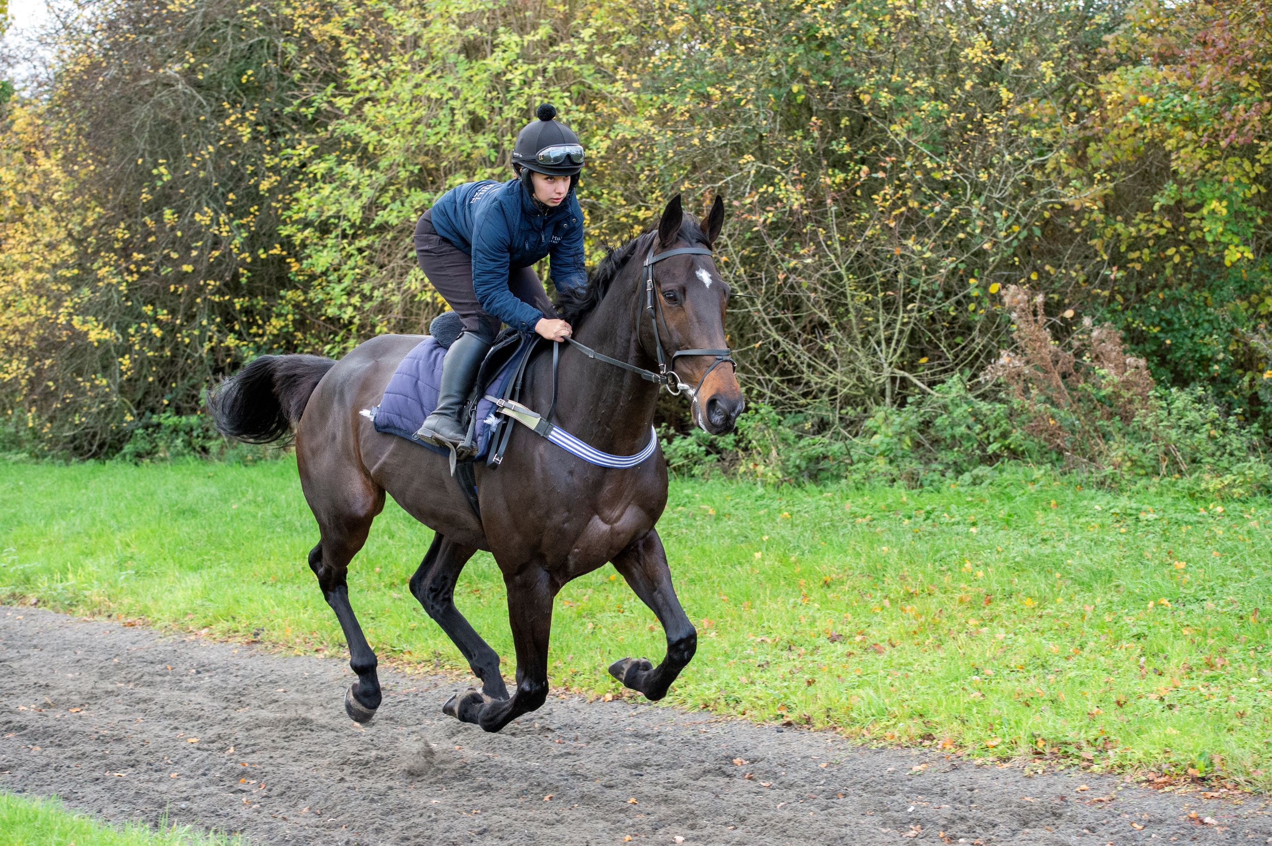 Riding on the gallops: why it's good for every type of horse and