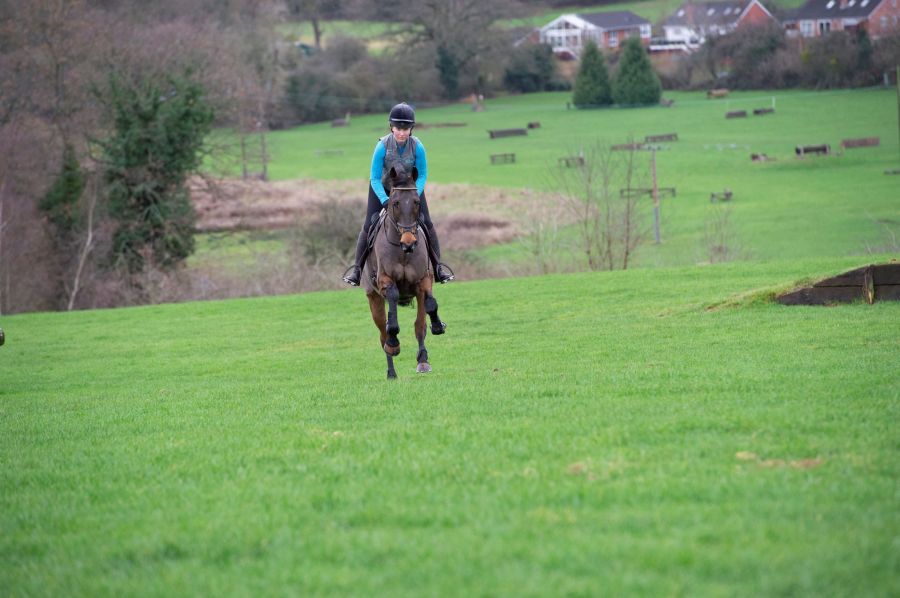 Pictured is dark bay horse and rider galloping uphill in a field as part of their interval training