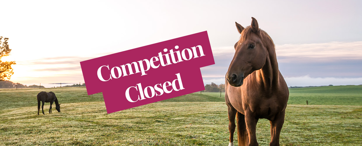 Win clothing a fly rug and more Your Horse