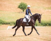 A neck strap is a vital piece of riding kit