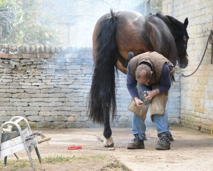 Pictured is a male farrier shoeing a horse