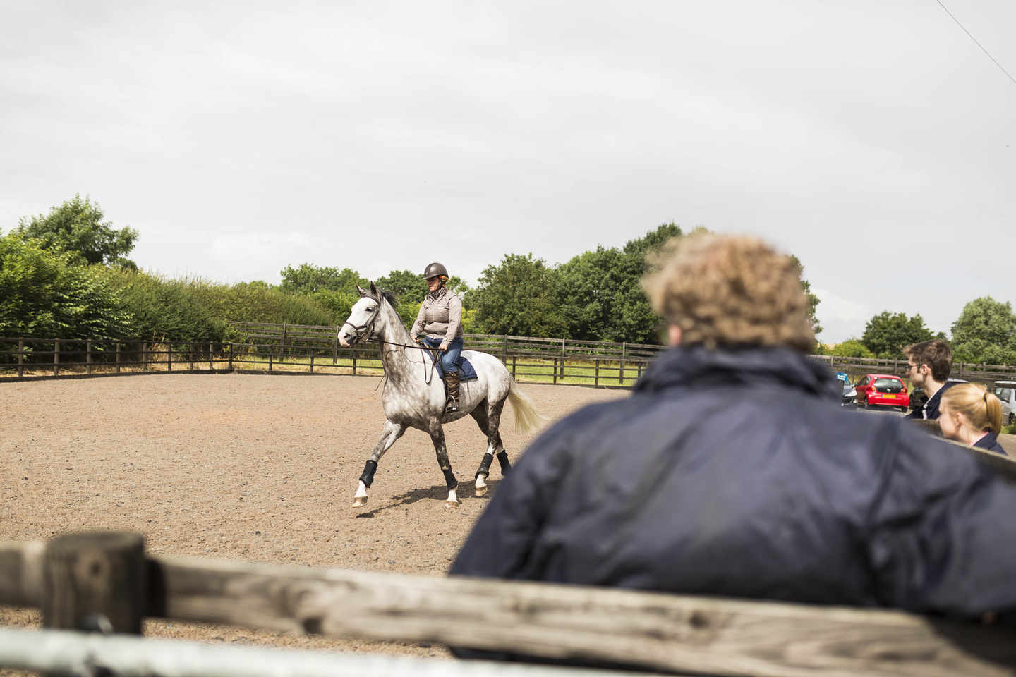 The Hock Module, Horse Hock Injury