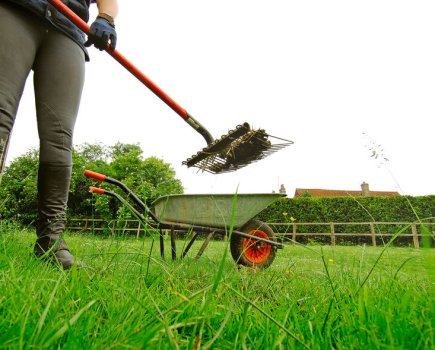 Keep fields clear of horse droppings to prevent worms